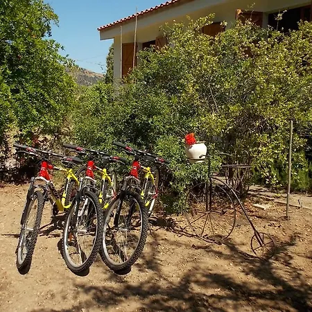 Sette Fratelli Bed & Breakfast San Gregorio (Sardinia)