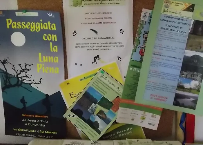 Sette Fratelli Couette-café